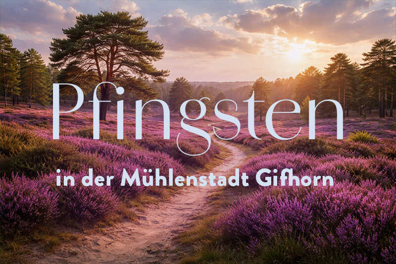Das Bild zeigt eine Heidelandschaft bei Sonnenuntergang mit dem Schriftzug „Pfingsten in der Mühlenstadt Gifhorn“.