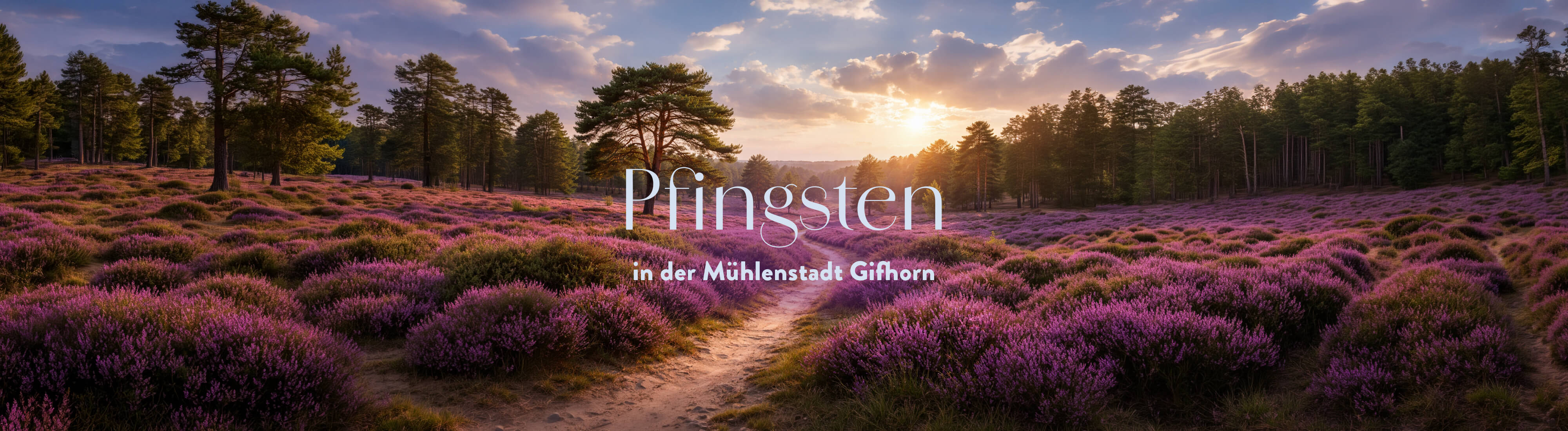Das Bild zeigt eine Heidelandschaft bei Sonnenuntergang mit dem Schriftzug „Pfingsten in der Mühlenstadt Gifhorn“.