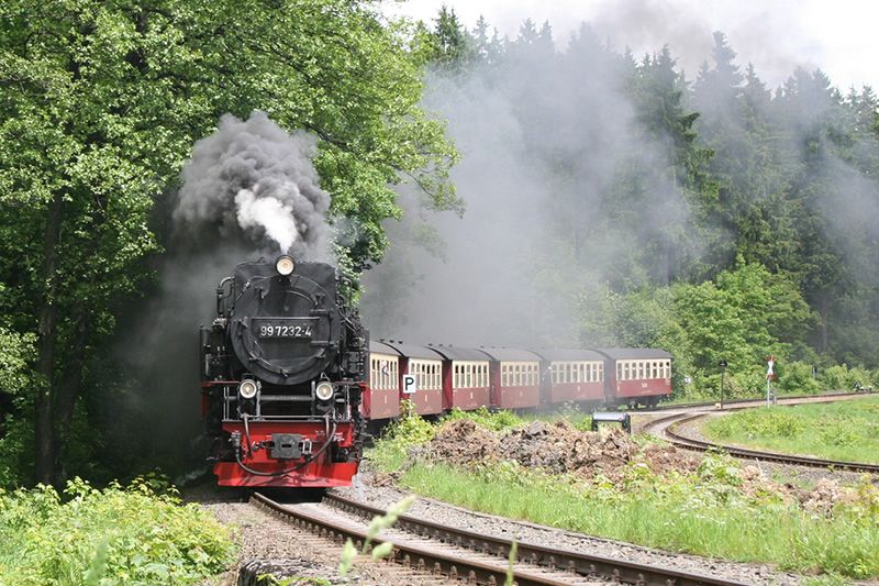Dampfzug fährt durch eine grüne Waldlandschaft auf einer kurvigen Gleisstrecke.
