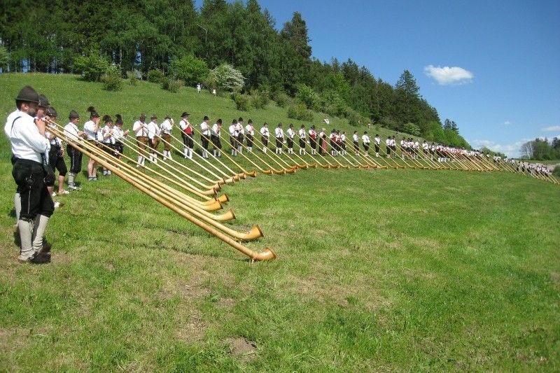 Eine Gruppe von Menschen spielt Alphörner auf einer grünen Wiese mit einem bewaldeten Hügel im Hintergrund.