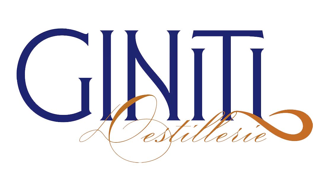 Giniti Logo